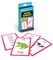 Carson Dellosa Word Family Flash Cards for Kids Ages 6+, Phonics Flash Cards with Vocabulary, Spelling, and Grammar Skills, Word Family Flash Cards for Grade 1, Grade 2, and Grade 3